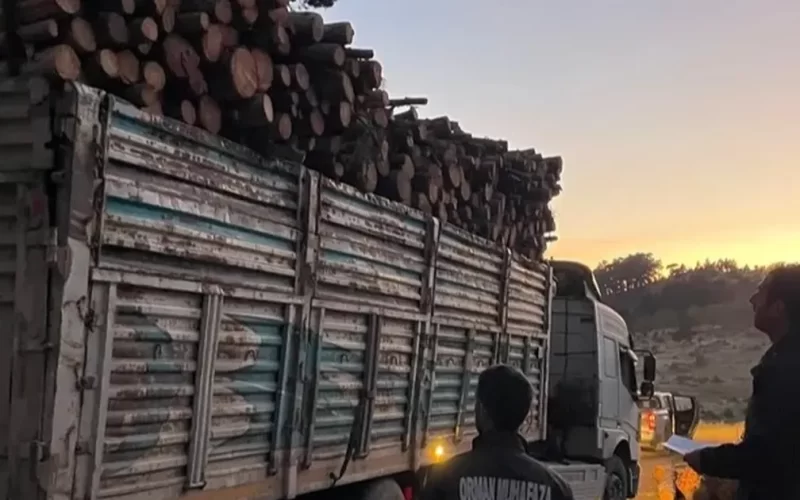 Bursa’da orman ürünleri taşıyan araçlara sıkı denetim!