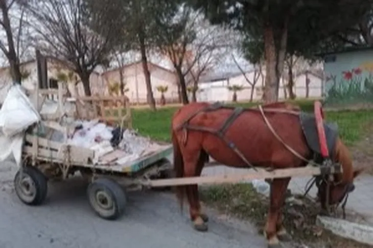 Keşan’da at arabası çalındı